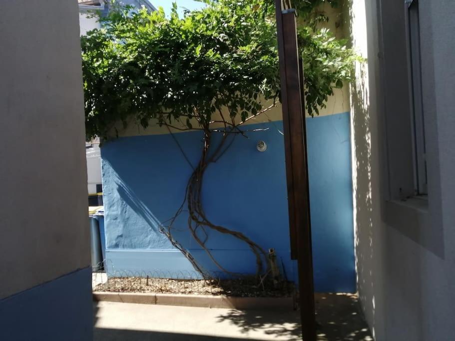 מולהאוס Appartement Entier, Proche Tram-Train Et Commodites, Parking Gratuit מראה חיצוני תמונה
